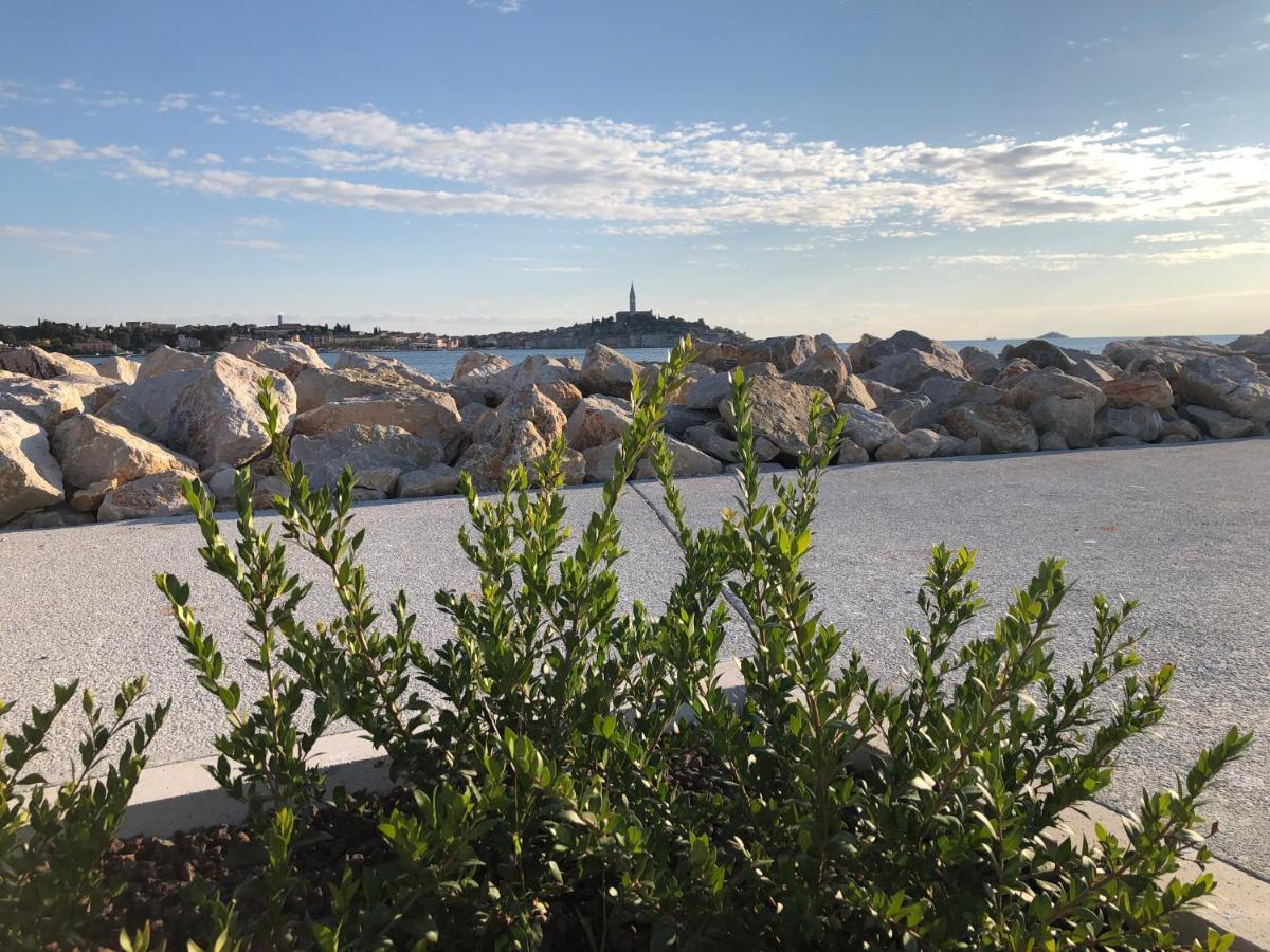 Total Escape Mobile Home Nera Camp Porton Biondi Rovinj Exteriör bild